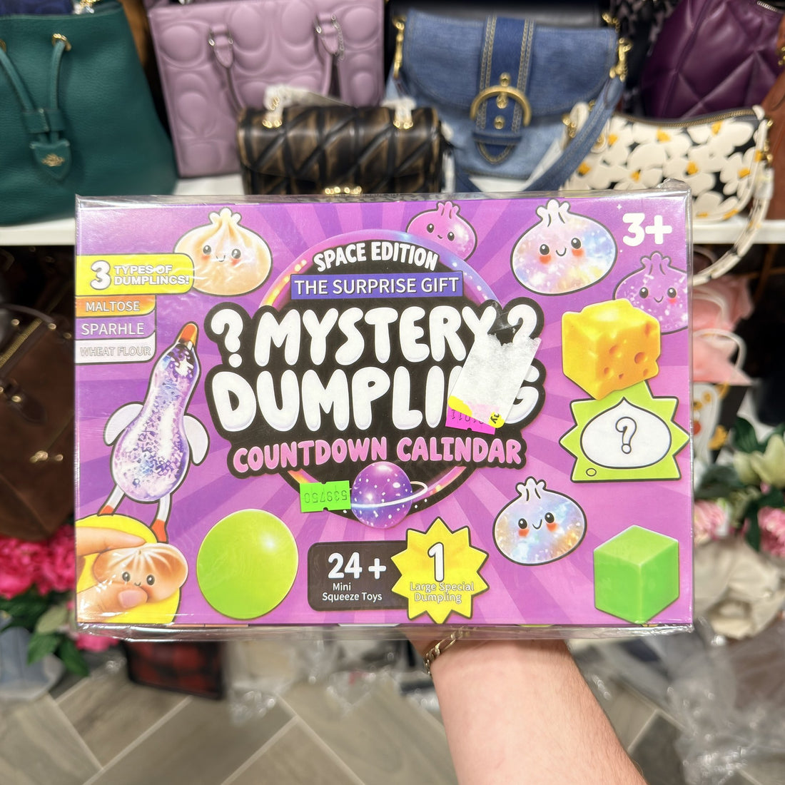 Mystery Dumpling Countdown Calendar Space Edition box front