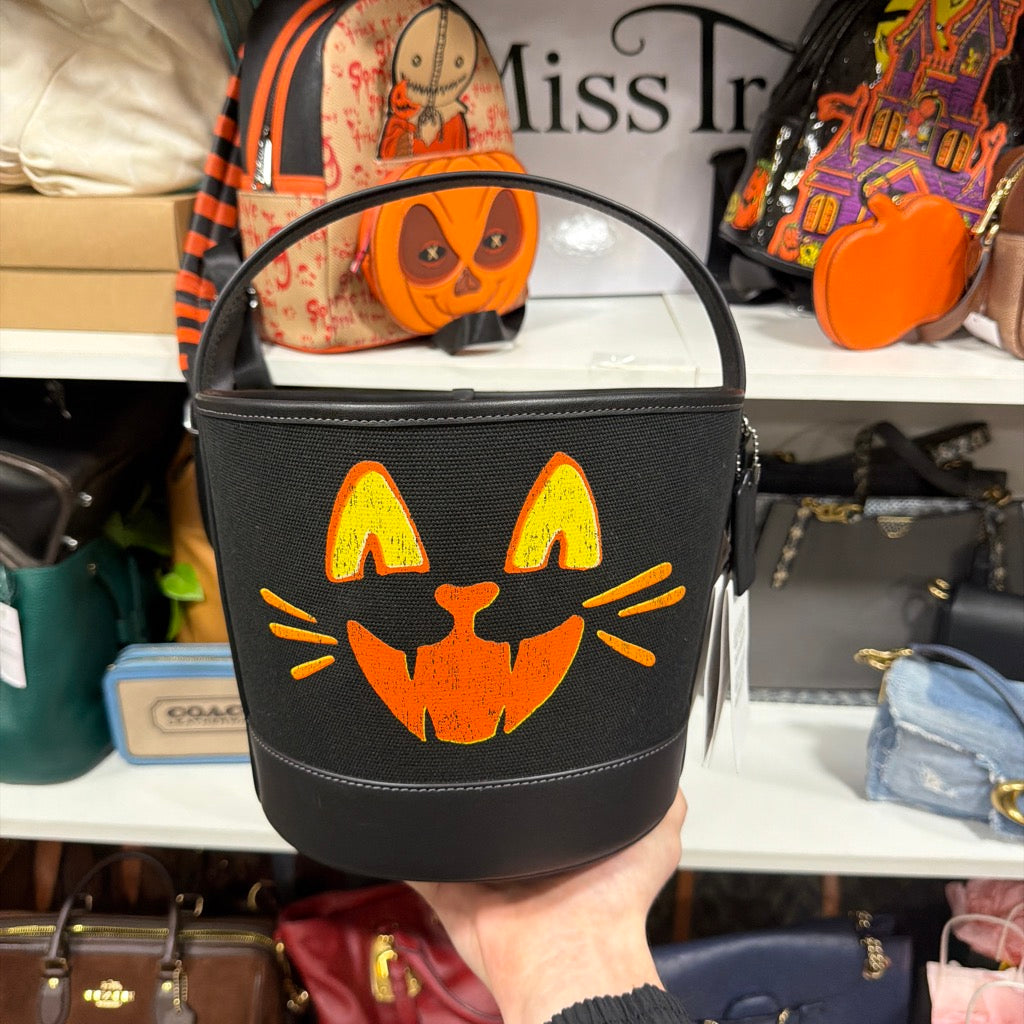 Coach reference image of the CCE04 Halloween cat bucket