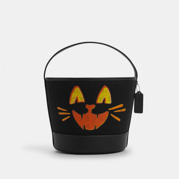 Coach reference image of the CCE04 Halloween cat bucket