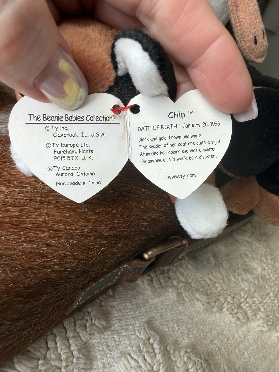 Ty Beanie Babies lot Chip, Doby, Rocket and Beak