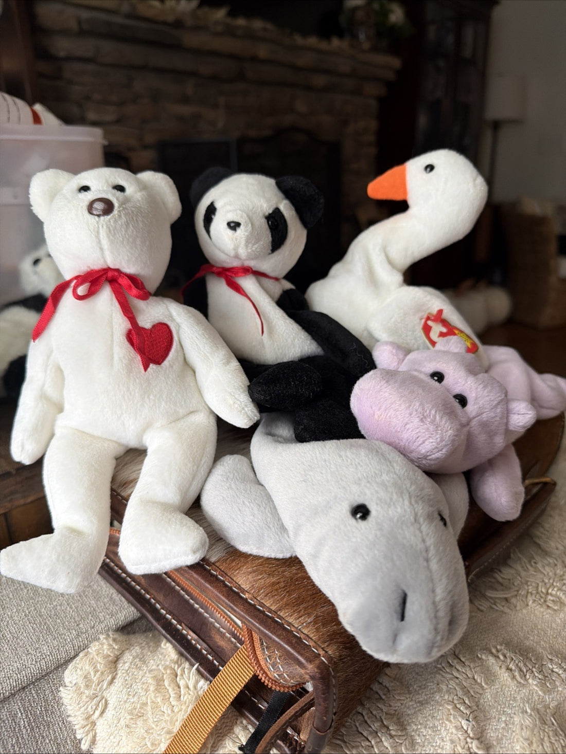 Lot of 5 Ty Beanie Babies